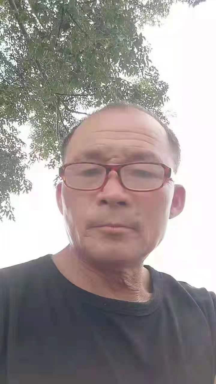 畅游六零年代,历史之旅的三大看点及最新章节概览