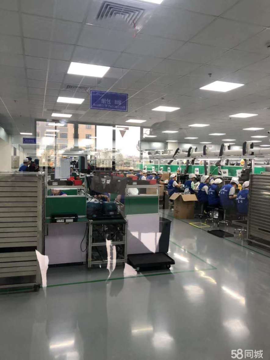 祝桥赫比电子最新招聘启事!