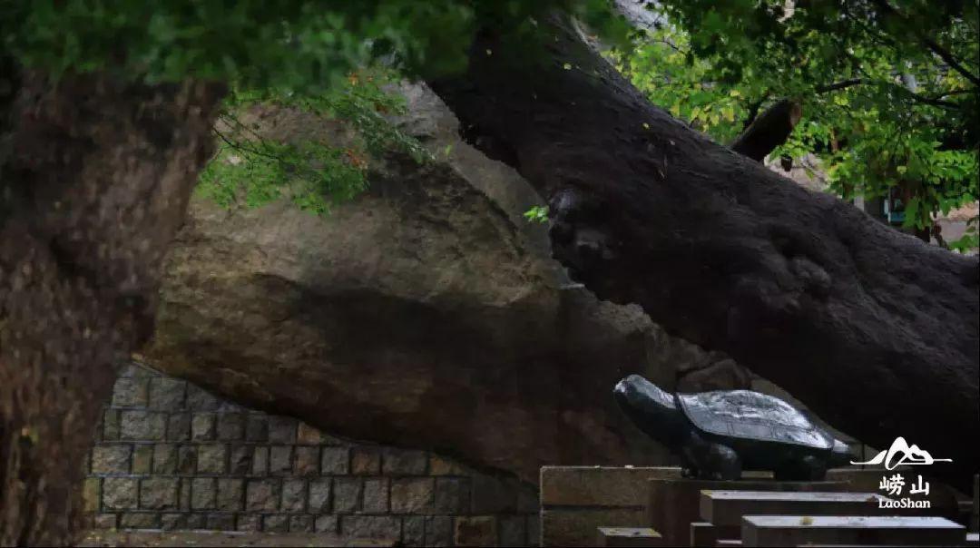 仙居高铁站最新动态，启程自然之旅，心灵宁静的序曲