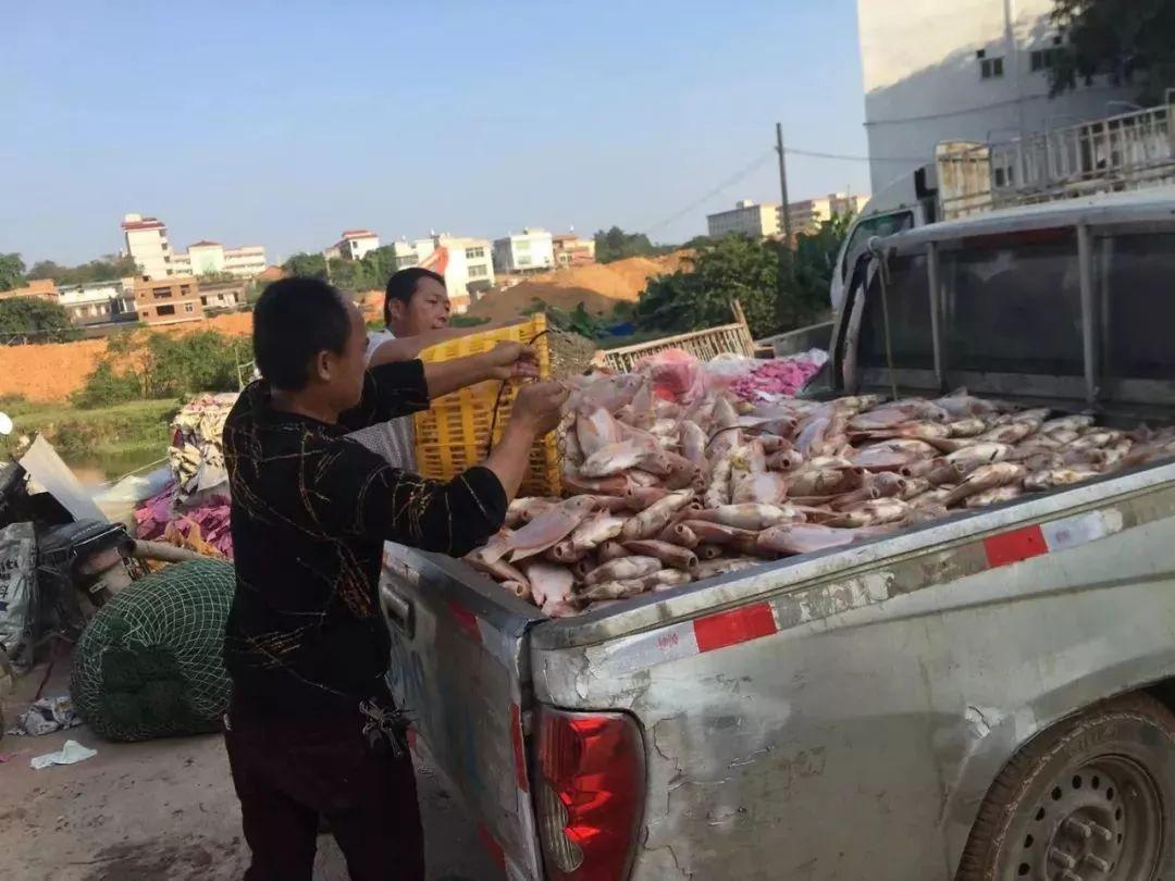 🌟芜湖元亩塘最新动态🌟