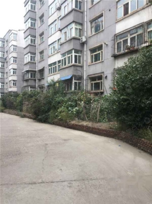 新蔡学府雅居最新动态，瞩目焦点与时代背景下的繁荣