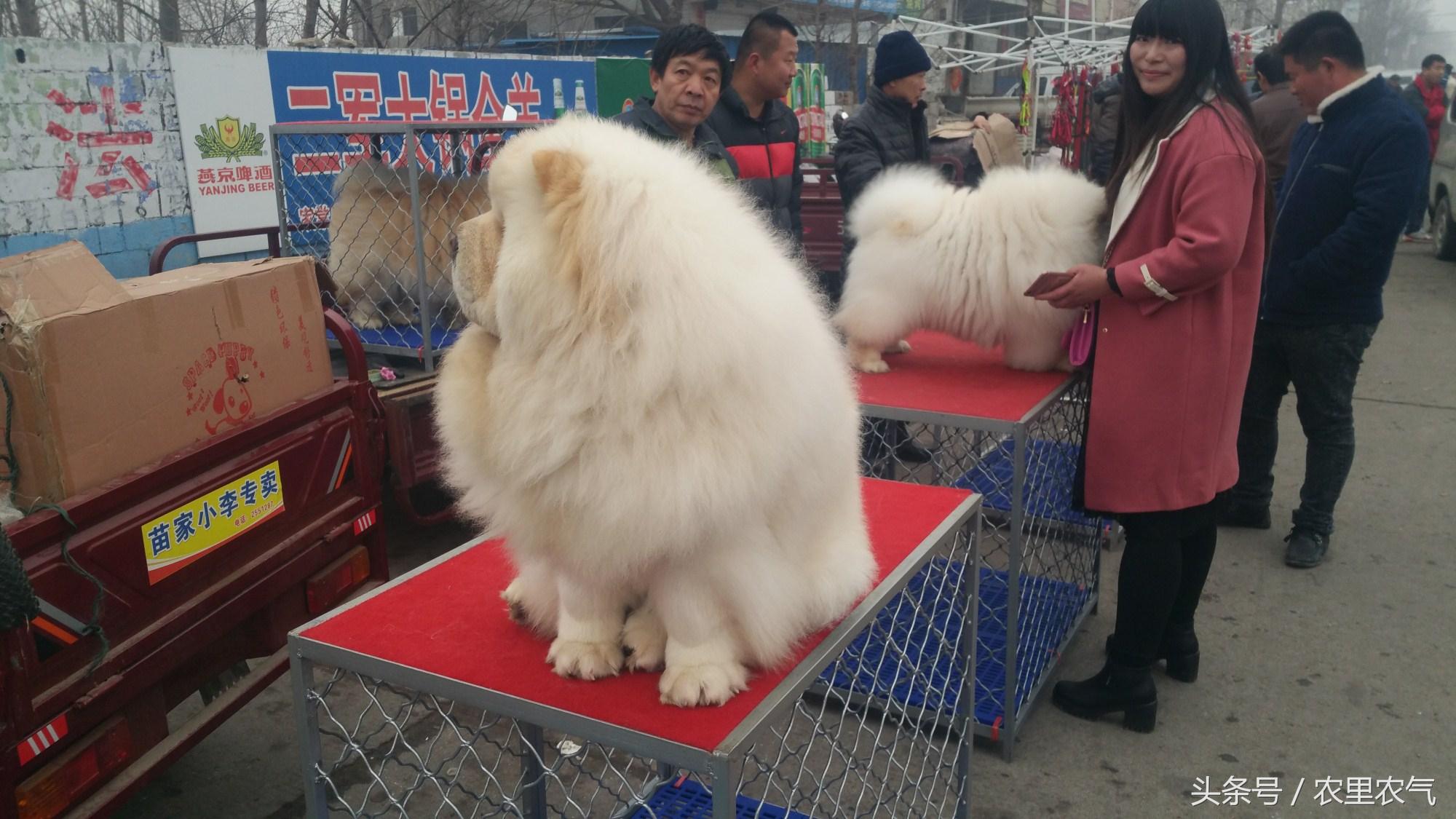 新能源领域研发 第731页