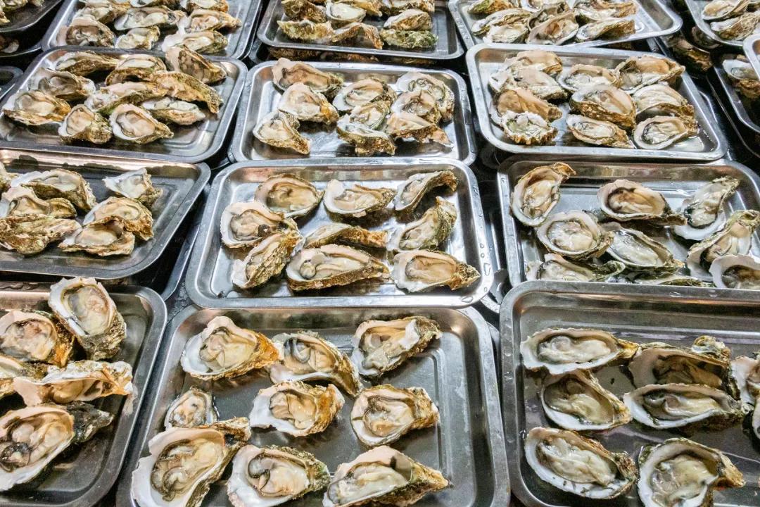 成都最新火车时刻表，一趟满载友情与陪伴的旅程之旅