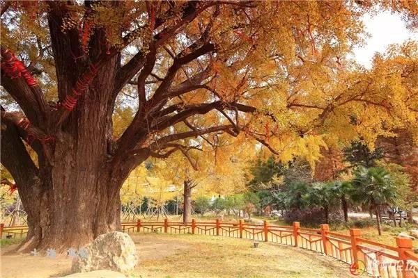 新能源领域研发 第689页