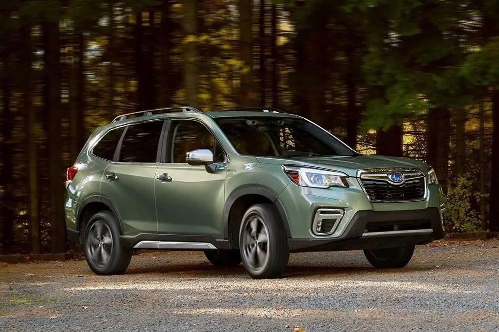 森林人换代最新动态，自信成长与喜悦变革的轨迹