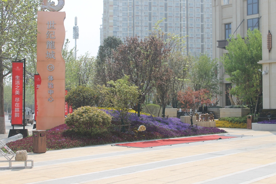 龙源世纪龙城最新动态及相关论述揭秘