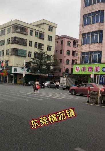 广东东莞横沥最新动态报道速递