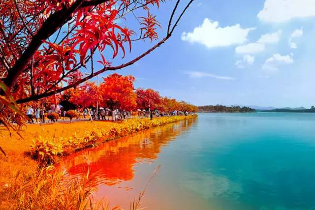 东莞美容院转让最新消息,与自然美景同行,寻找内心宁静的旅程