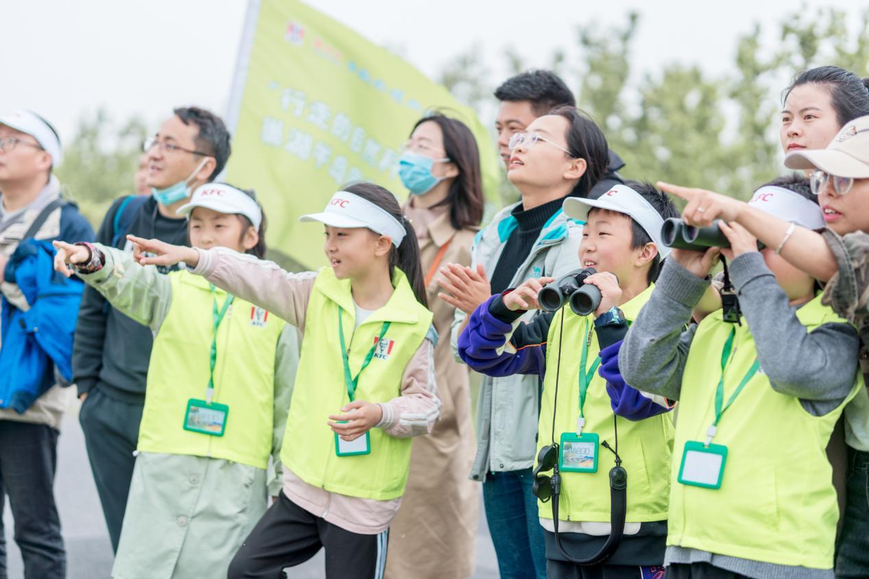最新一期节能产品清单，与自然和谐共舞，探寻内心宁静的节能乐章