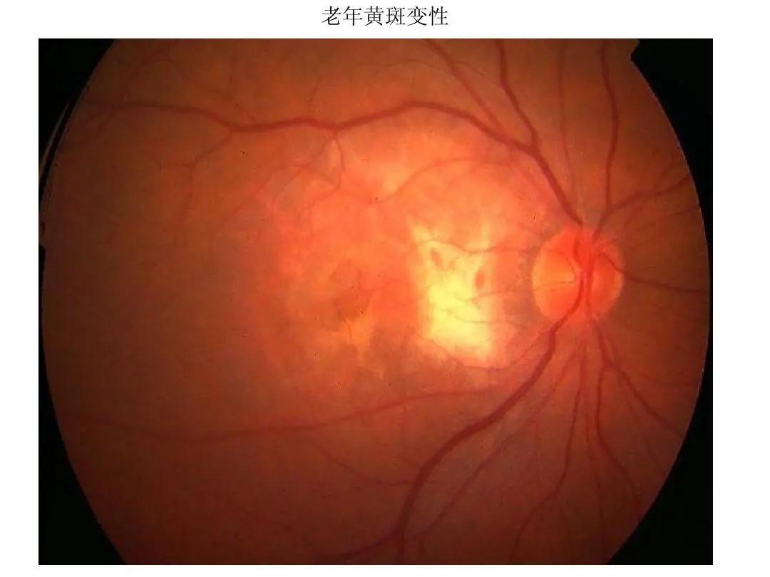 沈阳地铁4号线最新进展，城市脉络的延伸与自信力量的见证