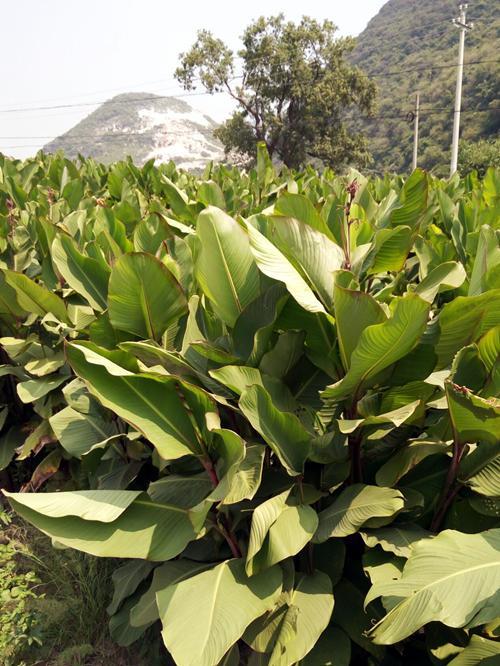 沈阳地铁4号线最新进展,城市脉络的延伸与自信力量的见证