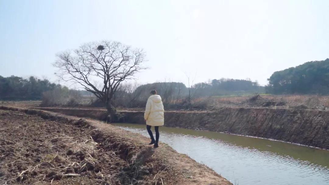 今日鸡蛋批发价格表变化中的学习成就自信与力量