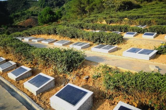 江西省殡葬管理办法最新解读,深度分析与个人观点分享