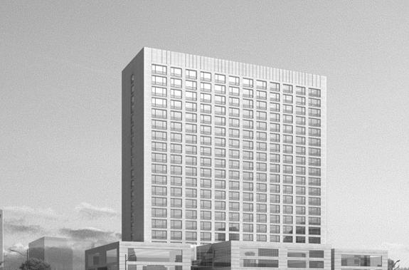 2024新奥今晚开奖直播,动态解读分析_RBF10.705优先版