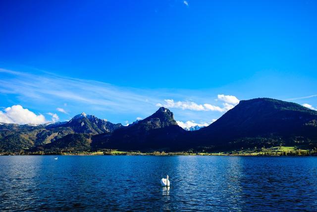 今日最新股市动态,自然美景的心灵之旅