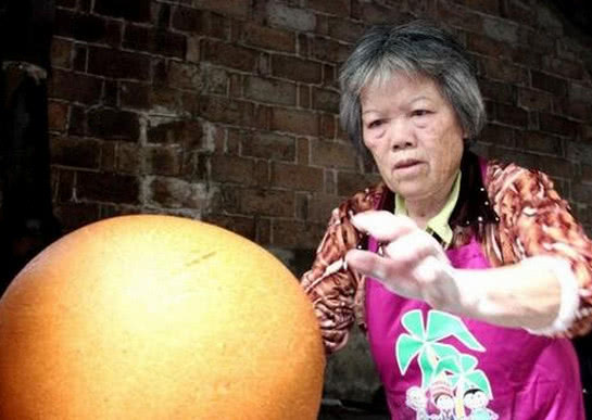 澳门水果奶奶8487资料图,目前现象解析描述_DUR10.235结合版