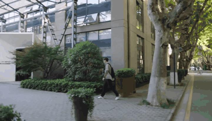 最新模拟汽车，驶向自然美景的梦幻之旅探索