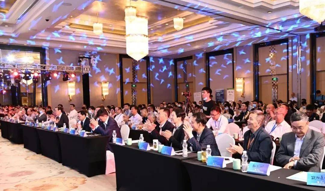 日本最新退税政策，背景、进展与影响全面解析