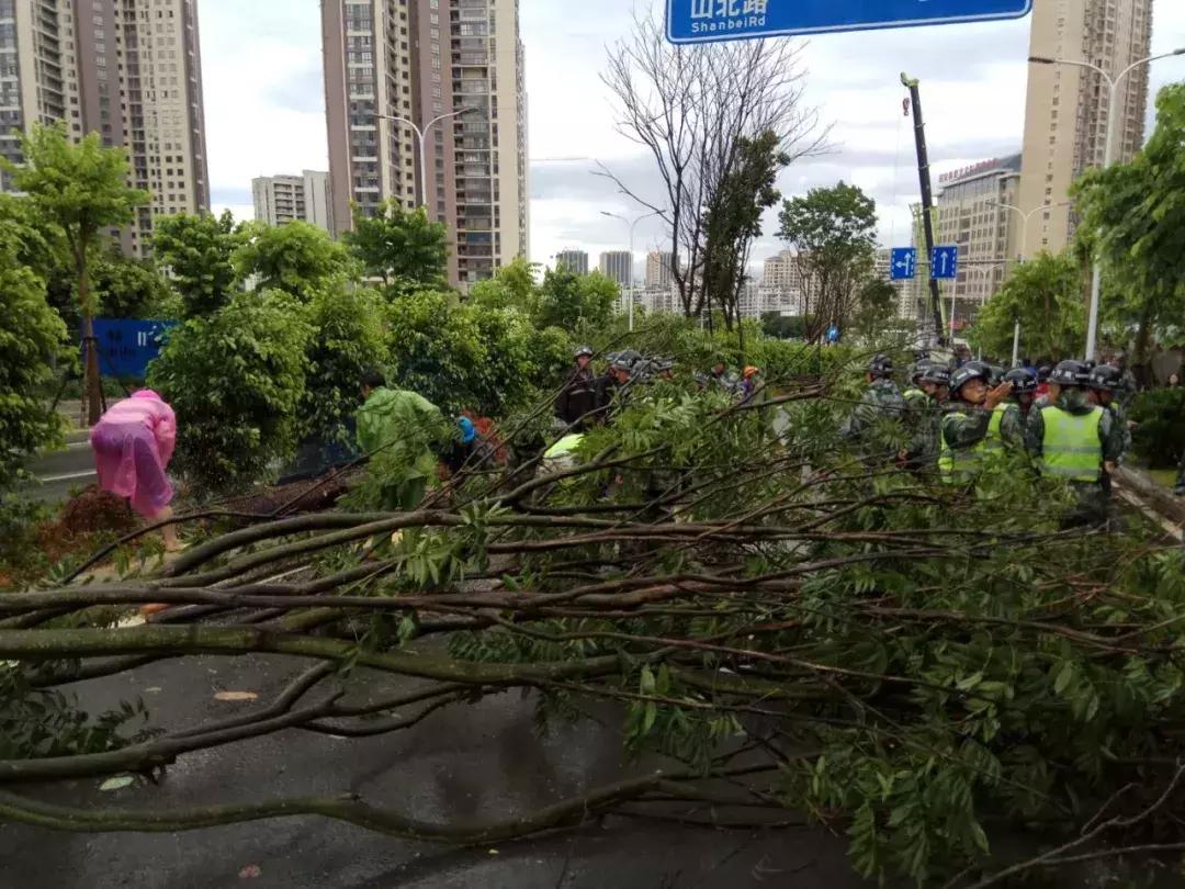 台风警报，追逐自然美景的冒险与挑战