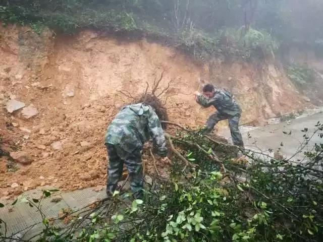 台风警报,追逐自然美景的冒险与挑战