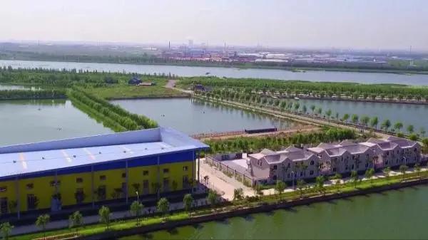 最新捕鱼技术揭秘,乘风破浪的学习之旅开启