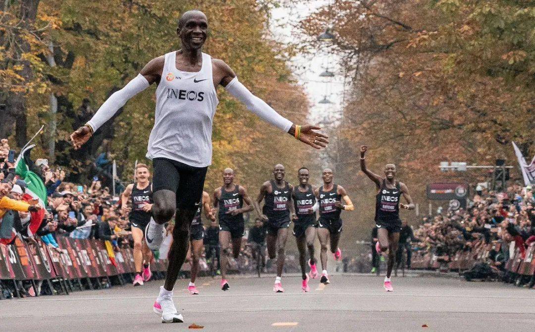 探索沉香的神秘世界,最新沉香视频大放送