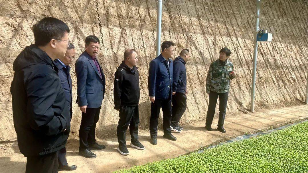 最新屯留新闻动态更新