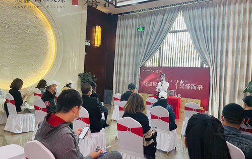 开盘啦最新动态,深度探讨其影响与观点分析