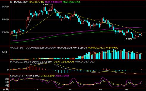 澳门正版资料大全免费大全鬼谷子,交通运输_DGD85.653美学版