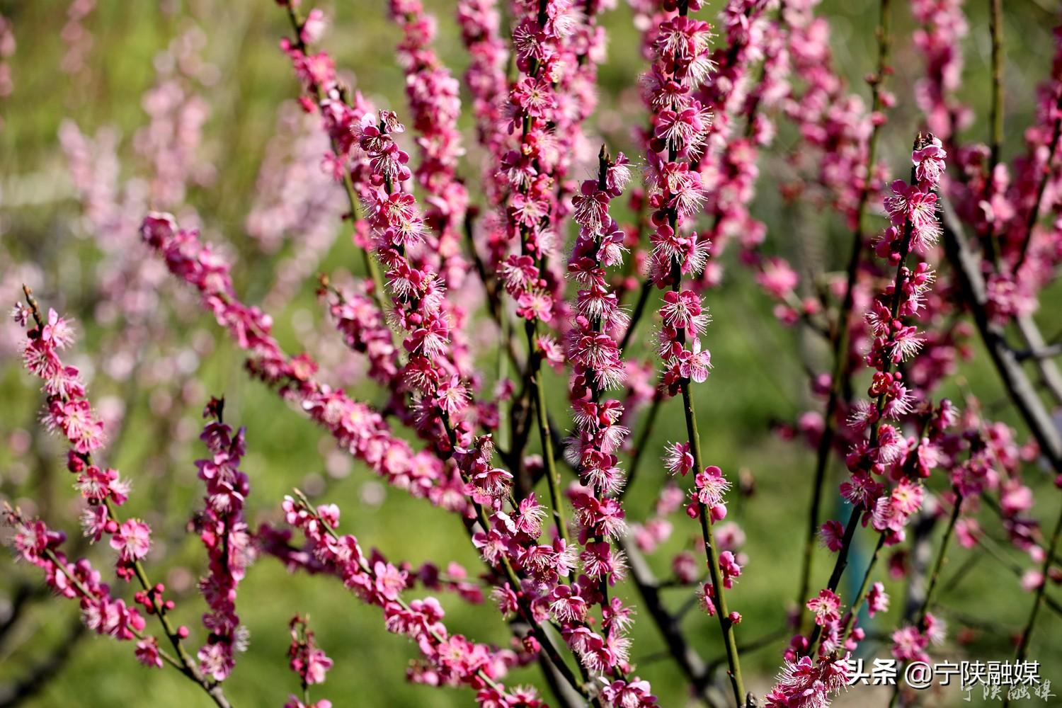科技引领时尚潮流的新宠——最新卡子午介绍
