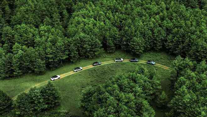 最新驾驶无忧,与自然美景的邂逅,内心平和之旅