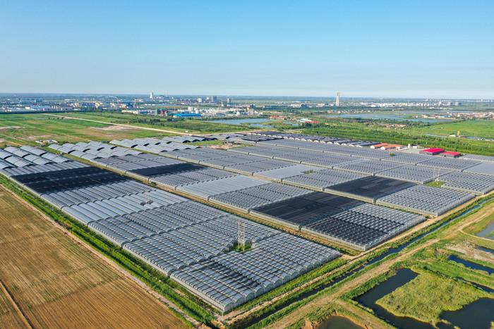 山东小麦今日最新价格——智能农业引领新时代