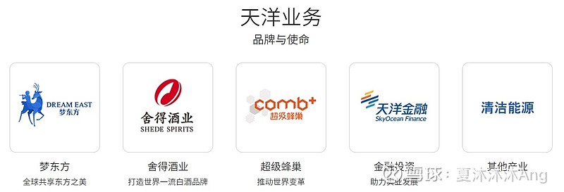 揭秘天洋集团最新发展现状🔍