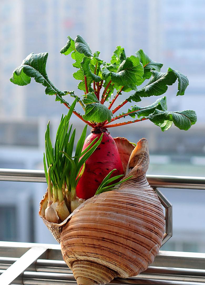 入冬最新消息，学习变化带来的自信与成就感，暖心启程励志之旅