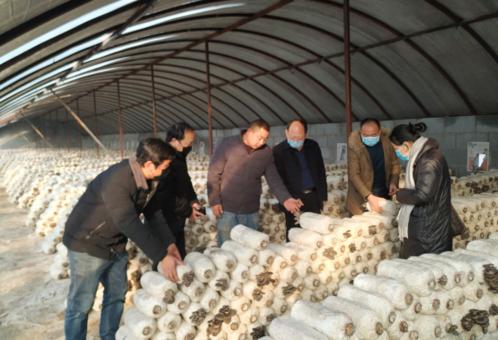 国外疫情最新动态,全面解析、分析与应对指南