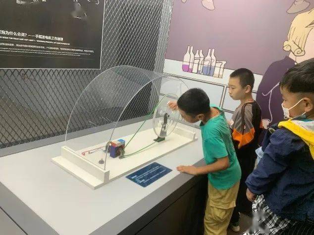 摩飞最新款，科技与生活完美交融的革新典范