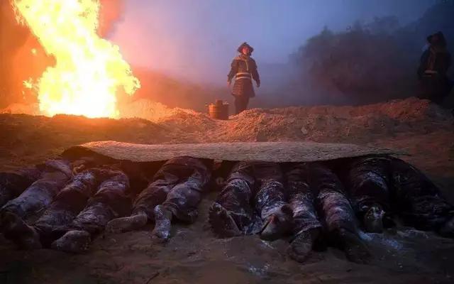 冰雹过后最新河北,冰雹过后最新河北，一场天灾的洗礼与重生