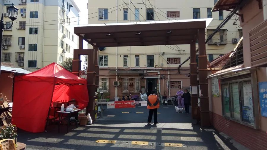 全国疫情最新数居,全国疫情最新数据下的隐秘小巷,一家特色小店的独特魅力