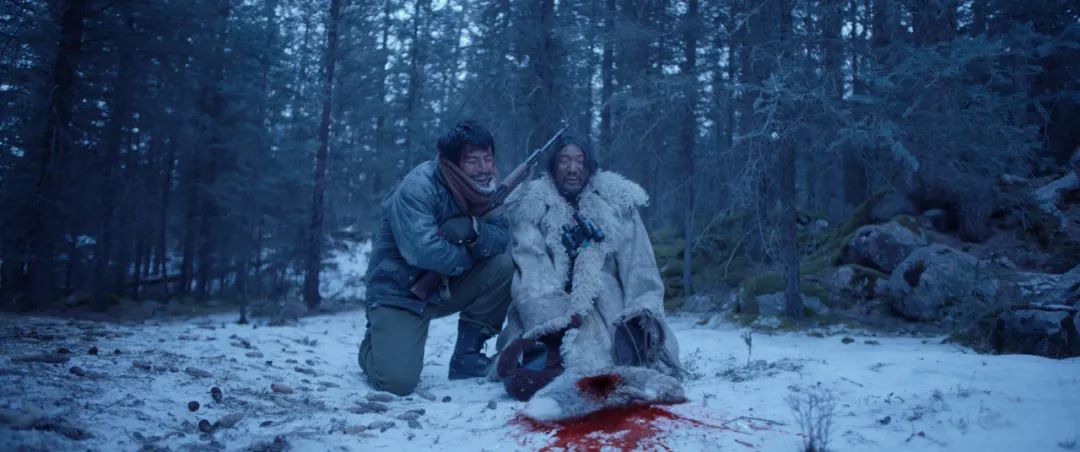 巴清传最新动态,自然美景的治愈之旅探索