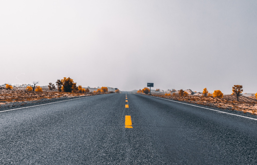 高速公路最新护栏探索与小巷深处的惊喜