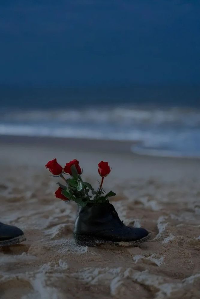 滔客说最新,任务完成与技能学习步骤指南详解