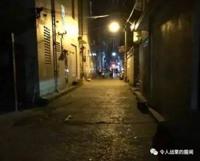 晋江最新盲杖小说,小巷深处的神秘小店探秘独特故事