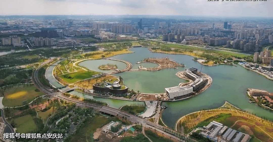 南桥上海之鱼最新消息,快速处理计划_真实版23.463