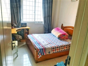 青州最新租房信息,家的温馨故事启程地