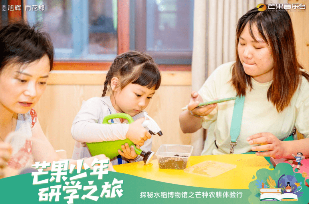 变化中的学习之旅，最新钢琴曲与自信旋律的交织