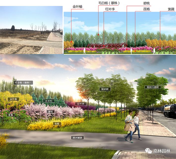 佟丽娅最新动态,多维度视角下的深度探讨