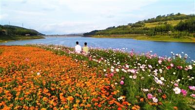 青海西宁最新新闻,城市发展的观点探析