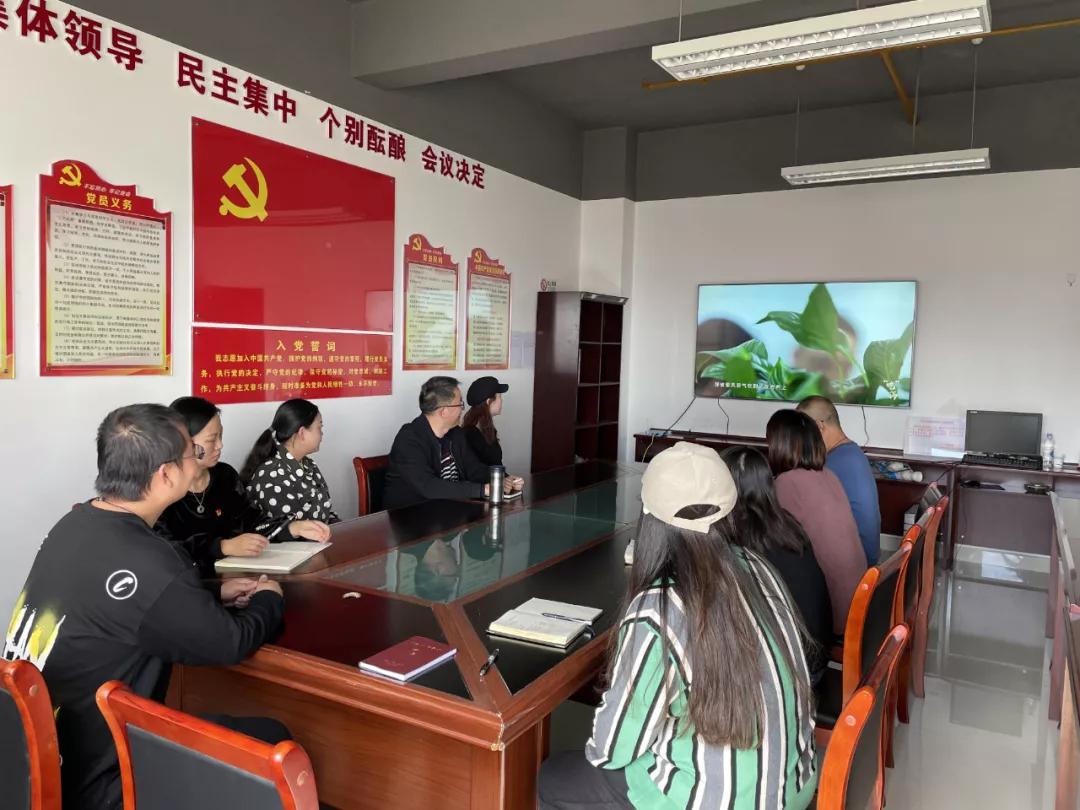 小金库最新规定揭秘，与奇妙的一天关联的处理变革