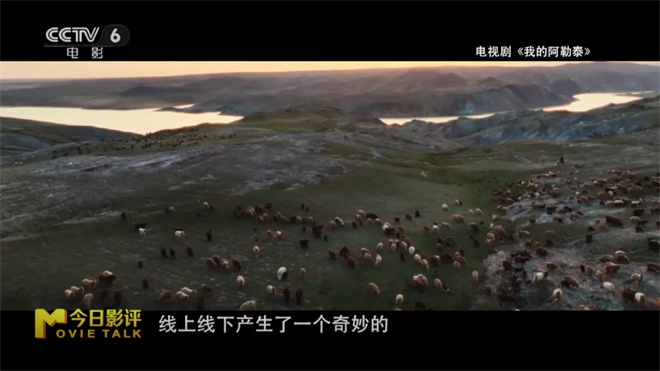 最新预告电影,自然美景的治愈之旅