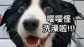 最新毛地址揭秘,探索与科普之旅